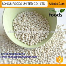 Chinese Trading Company to Exporte Gyptian White Kidney Beans